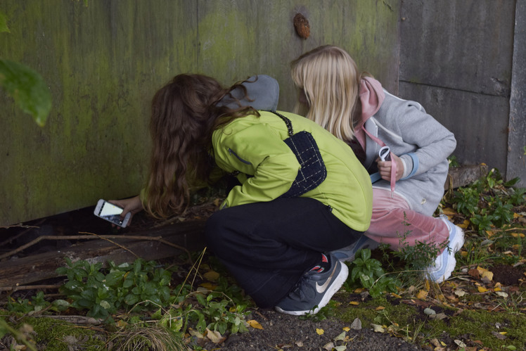 Børneværksted workshop barn billedskolen